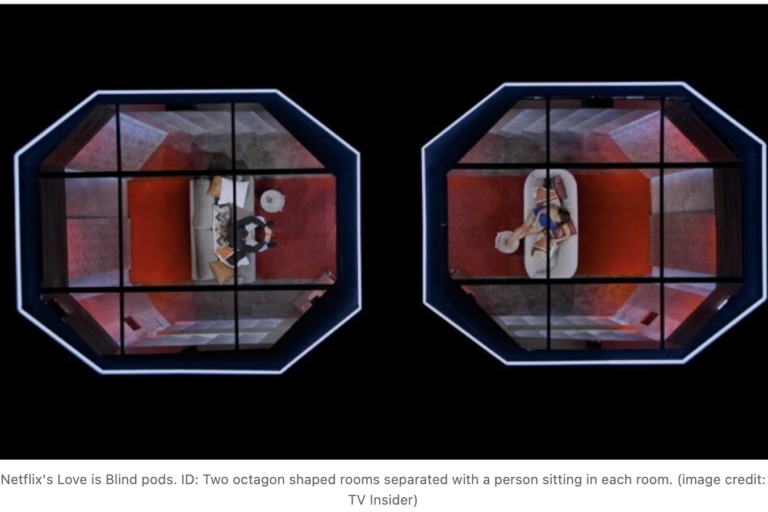 Netflix's Love is Blind pods. ID: Two octagon shaped rooms separated with a person sitting in each room. (image credit: TV Insider)